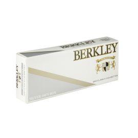 Berkley 100 Box (10CT), Silver, 100 mm