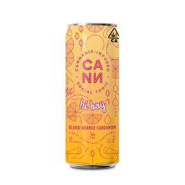 CANN Hi Boy D9/CBD Infused Social Tonic