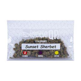 Exodus QPz THCA Flower, Sunset Sherbet (Hybrid), 114 g