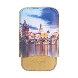 Printed Leather Creasing Cigar Case