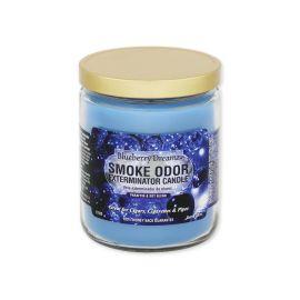 Smoke Odor Exterminator Candle, 13oz, Blueberry Dreams
