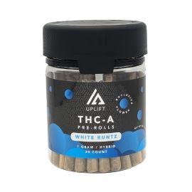 Uplift THCA Preroll Display (30CT), White Runtz, 1 g