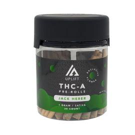 Uplift THCA Preroll Display (30CT), Jack Herer, 1 g