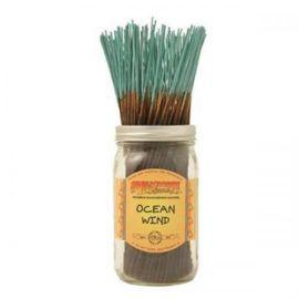 Wild Berry Incense Bundle (100CT), Ocean Wind