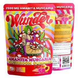 Wunder Amanita Muscaria Mushroom Gummies- 5PK, Strawberry Nectarine, 2500 mg